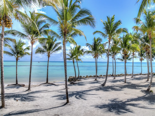 One of the most acclaimed properties on the coastline of Cap Cana